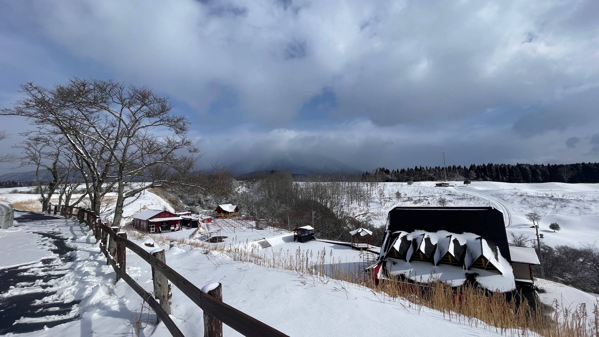 また雪。
