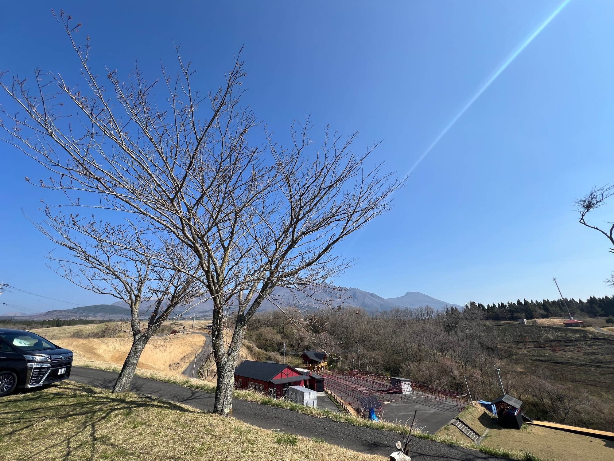 春はまだか。
