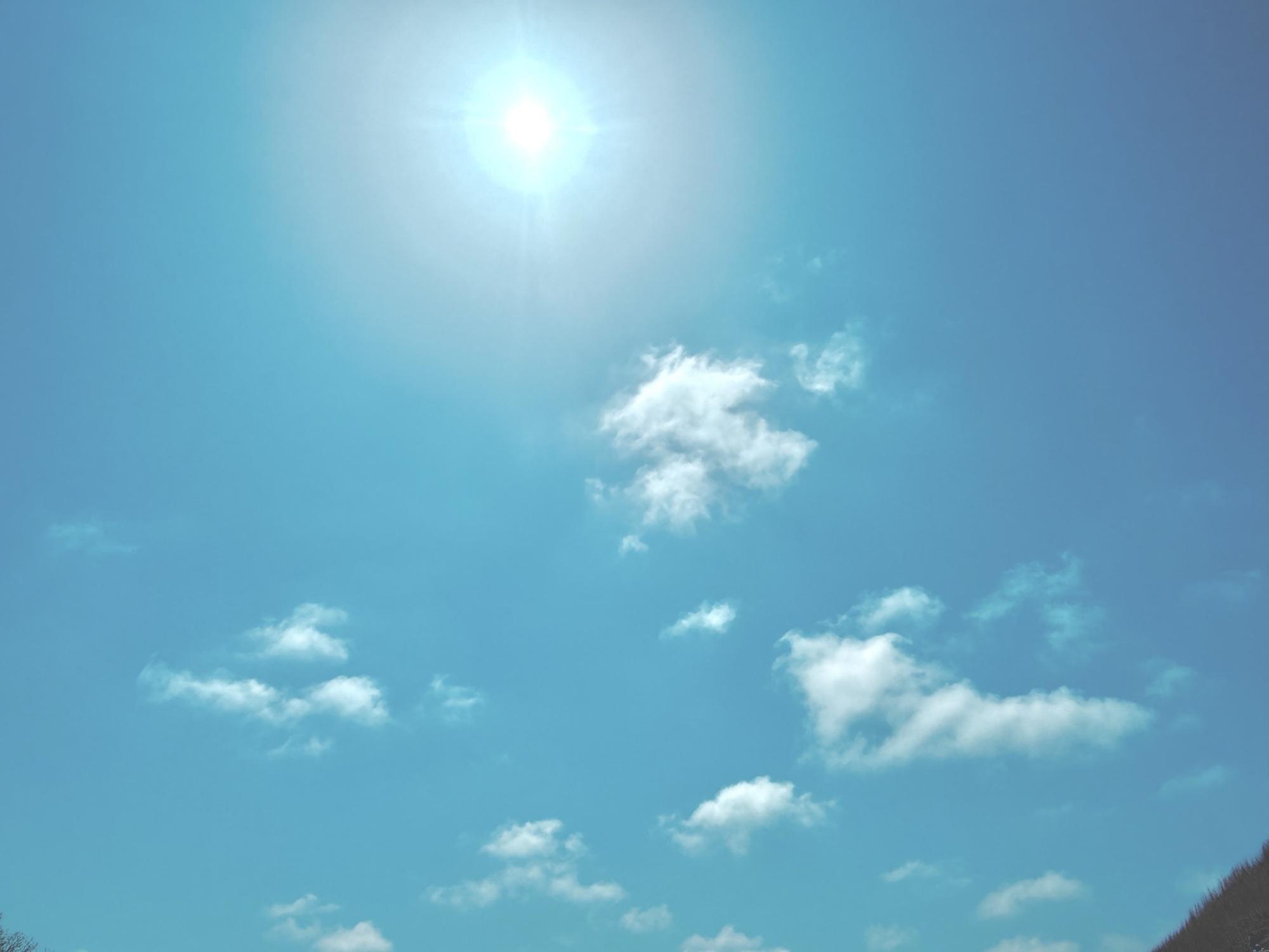 🌤️