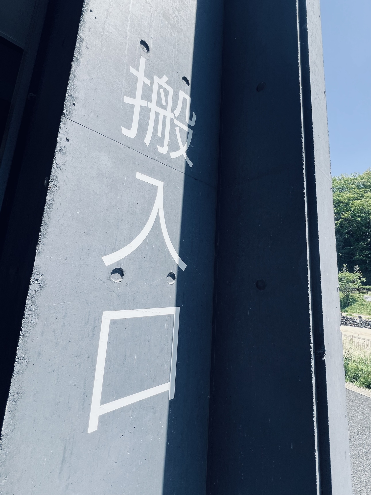 今日から！