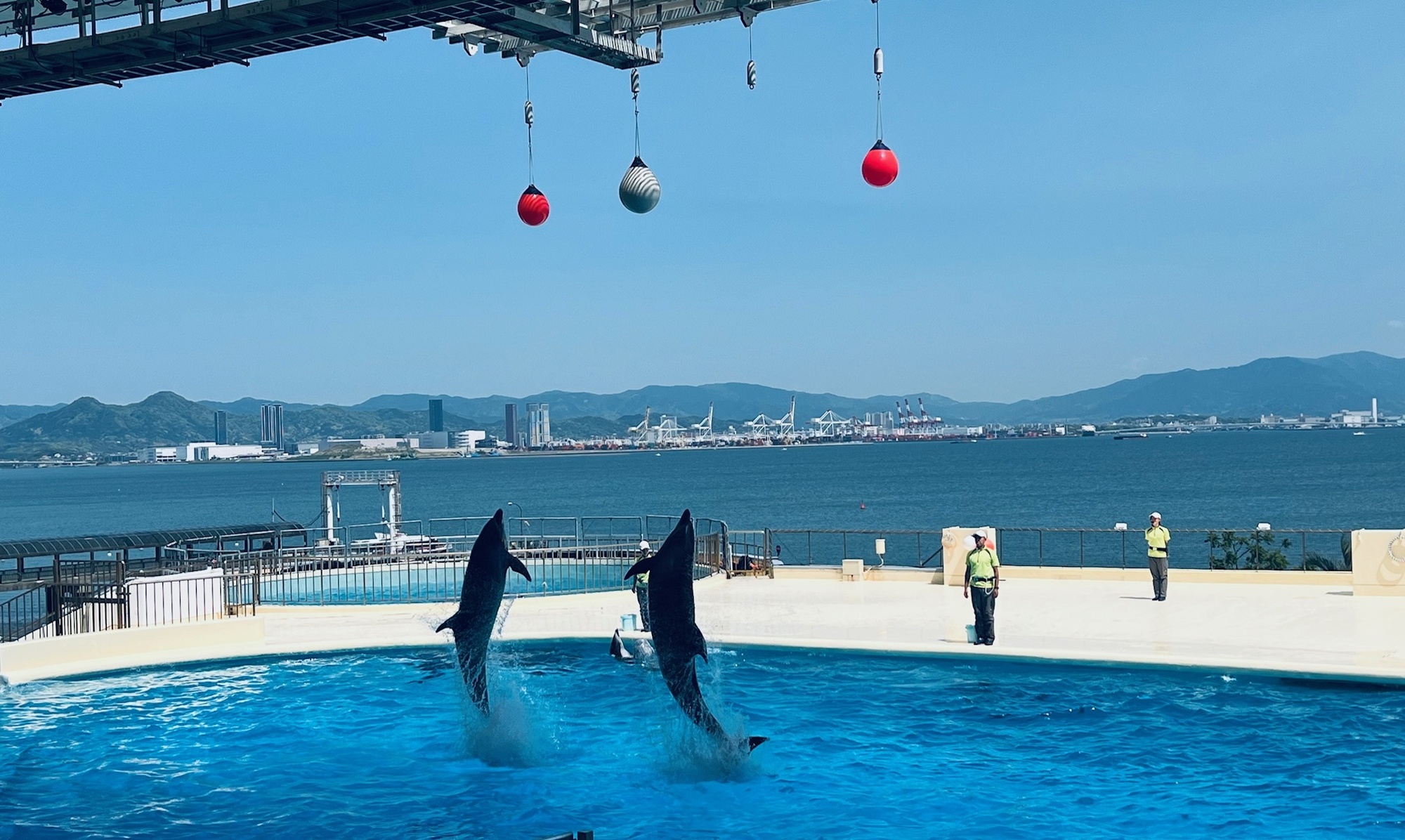 ショー