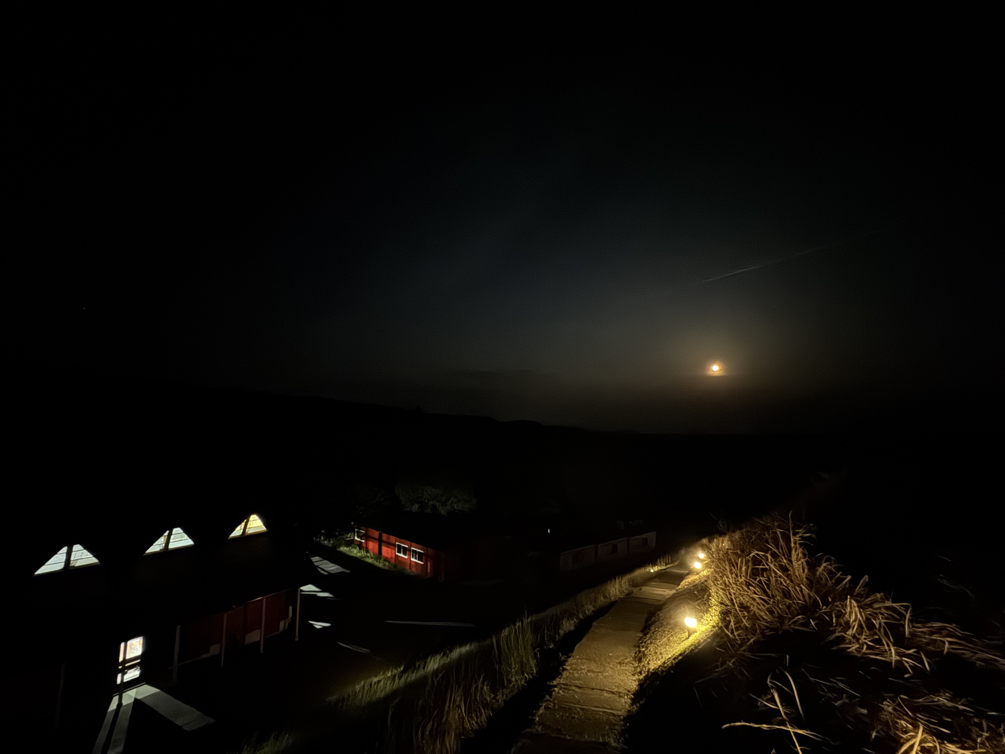 🌙