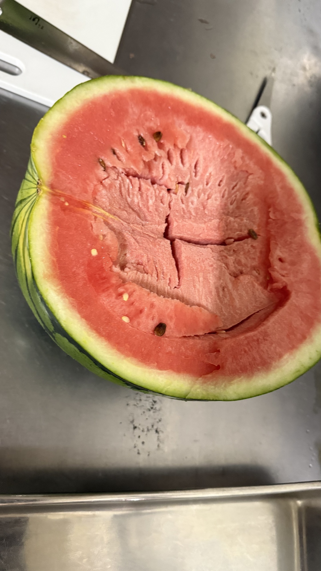 #🍉💣