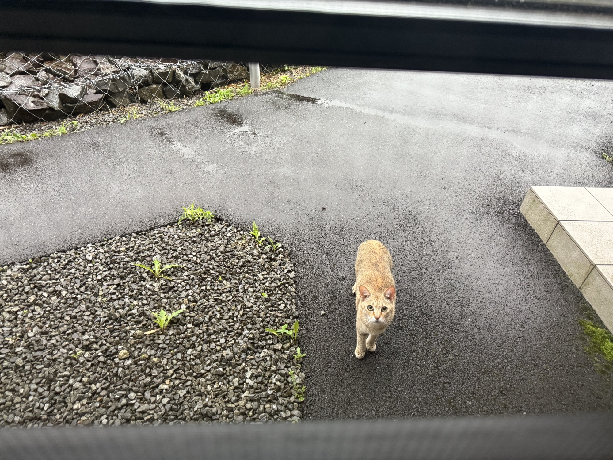 おはよう☀