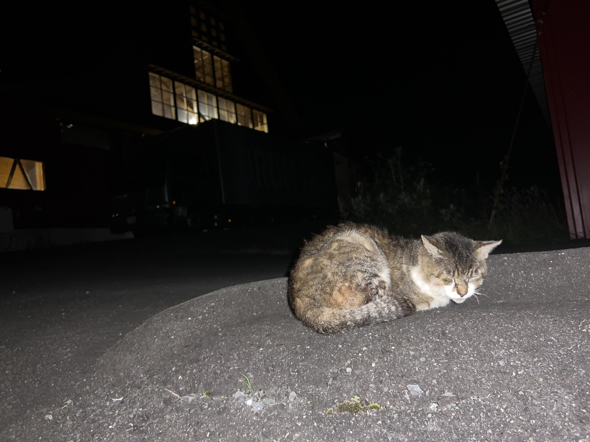 ねぇーーー