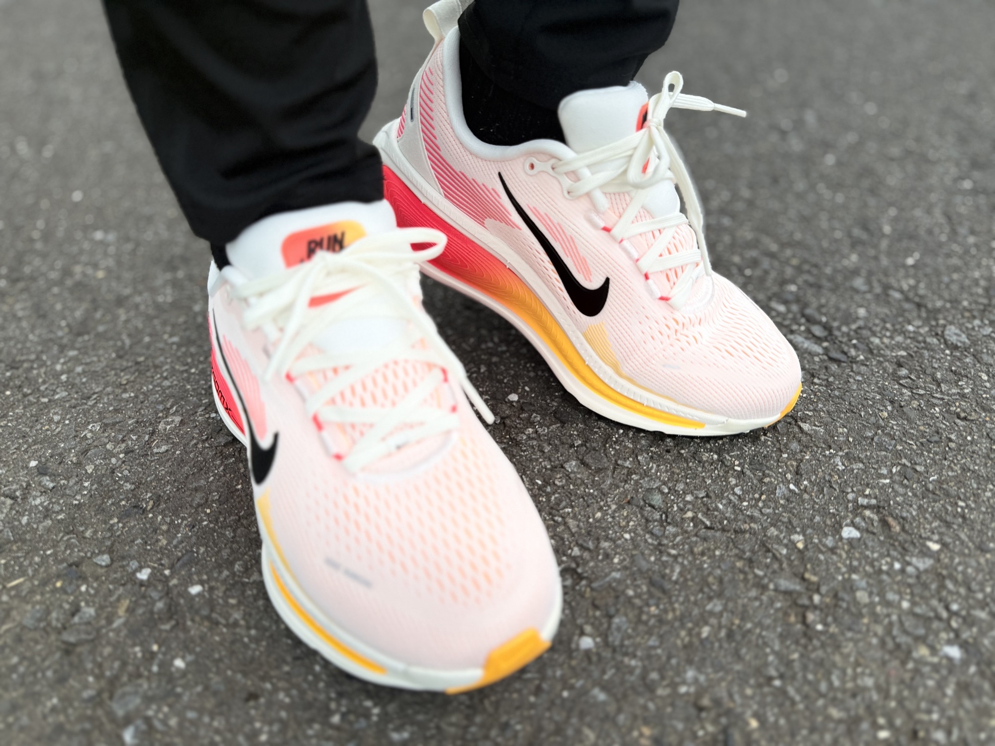 昼ラン🏃‍♂️‍➡️