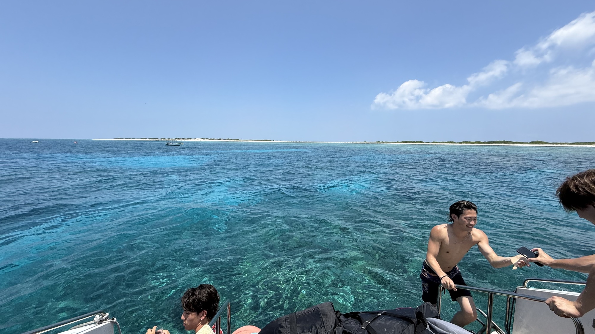 #🐬🏝