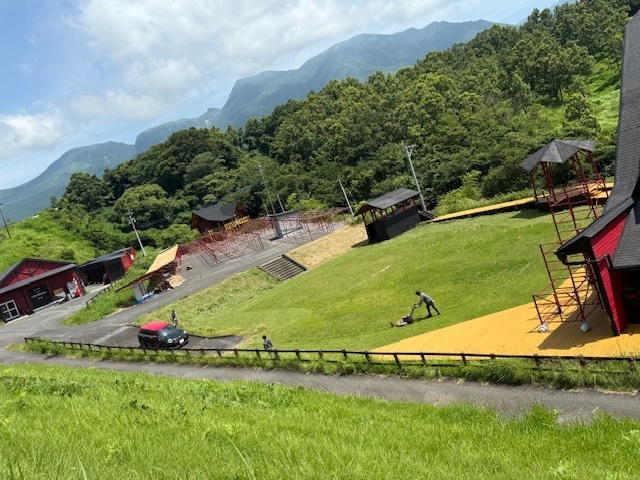 鮮やか