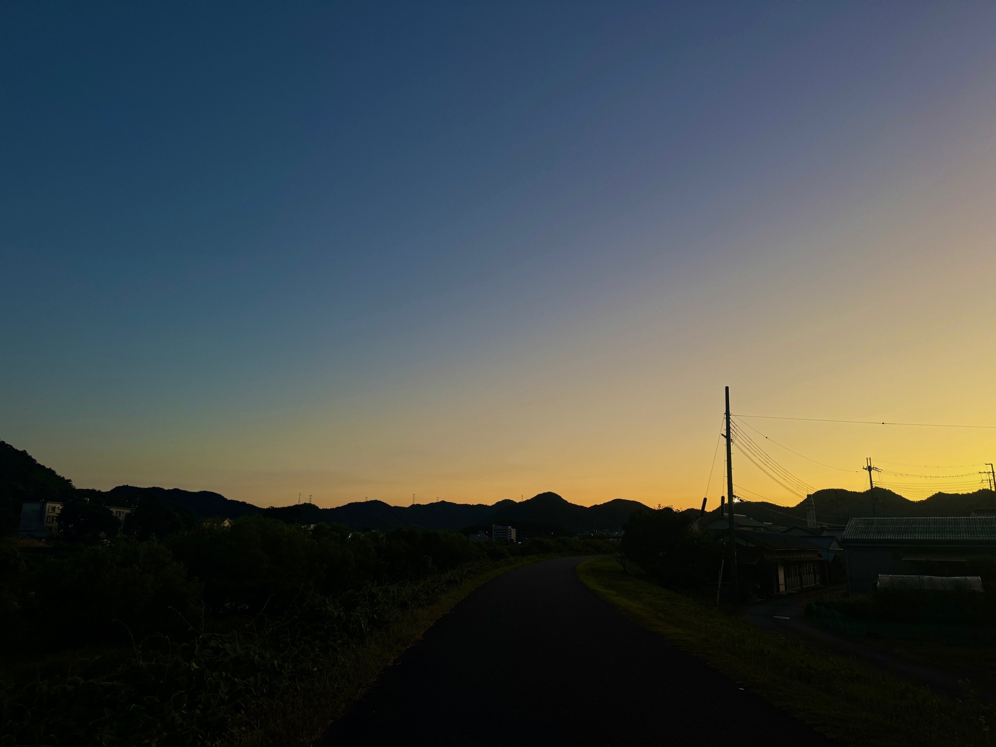 これこそが‼️