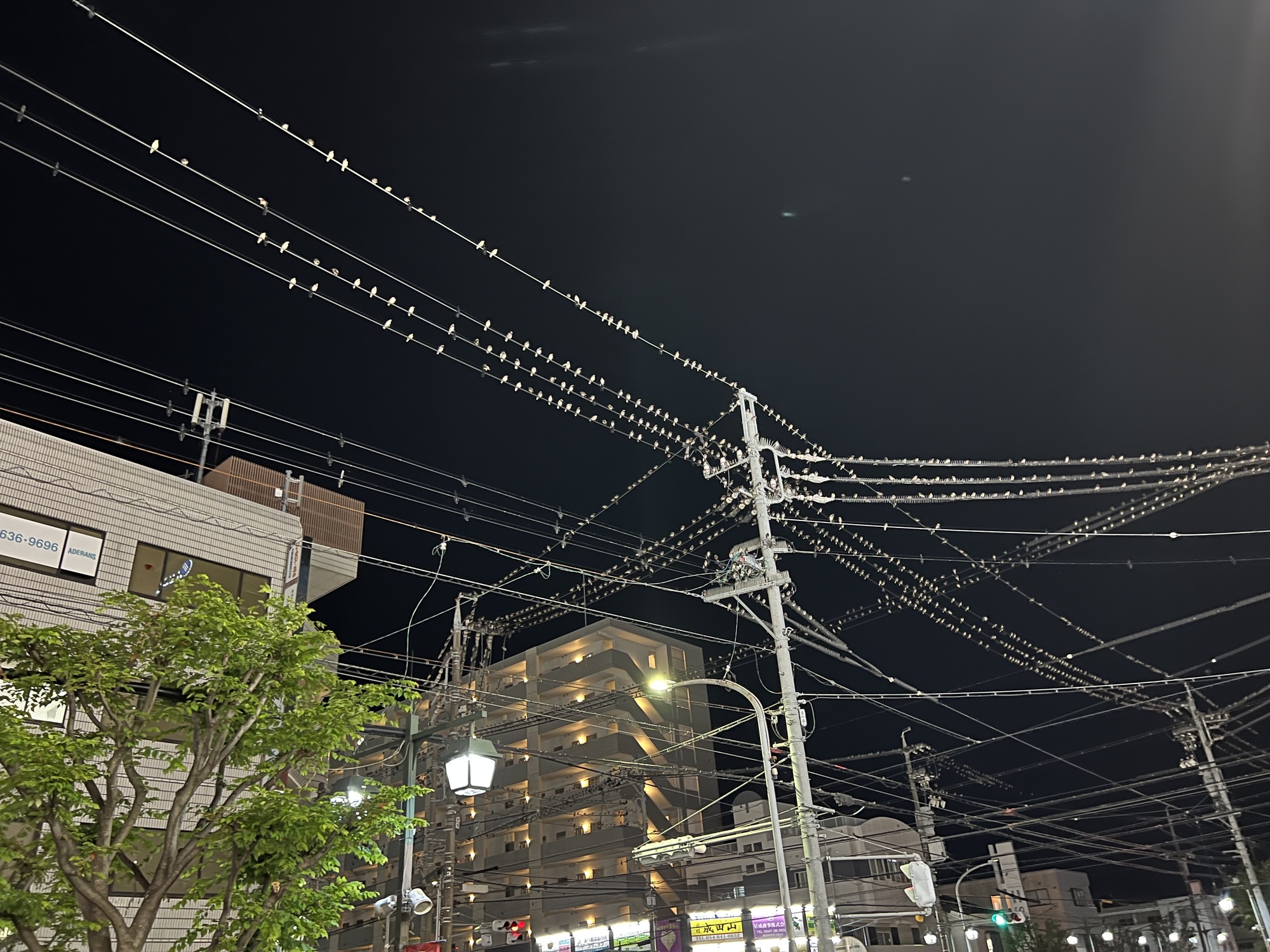 とぉーーー