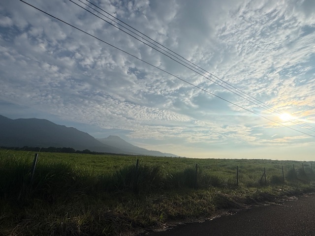 恒例‼️