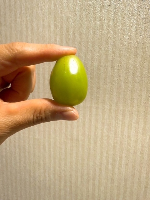 一粒