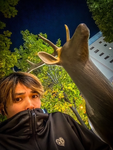 ナラデハノスケ。
