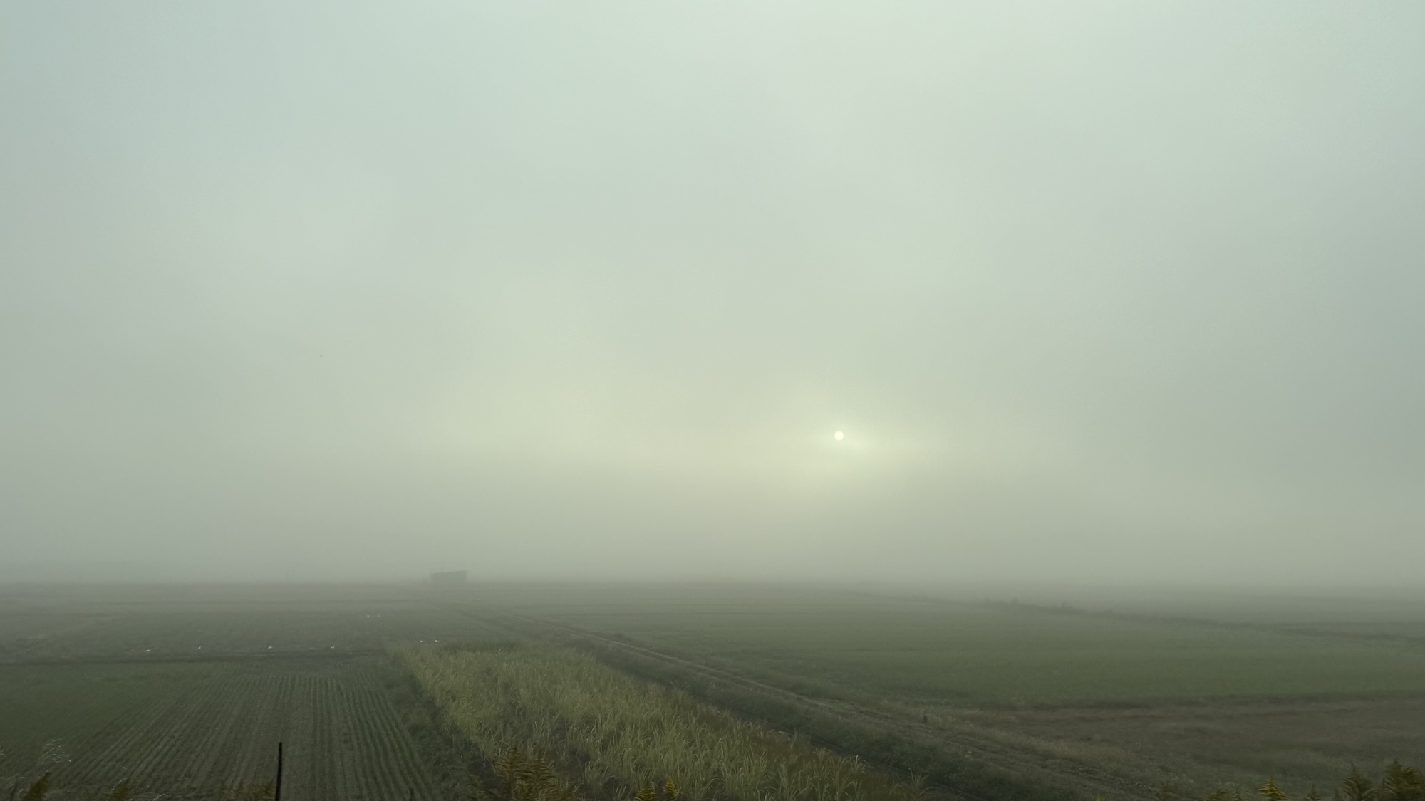 #𝐟𝐚𝐧𝐭𝐚𝐬𝐲