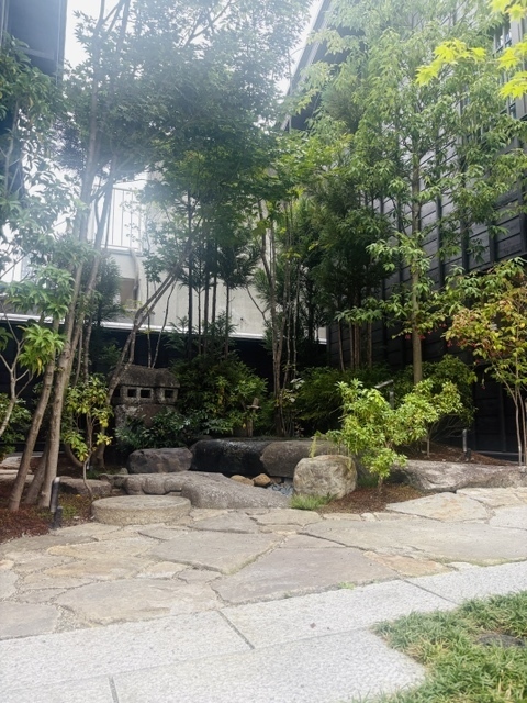 ദ്ദി ˉ͈̀ﻌˉ͈́ ა⁩✧