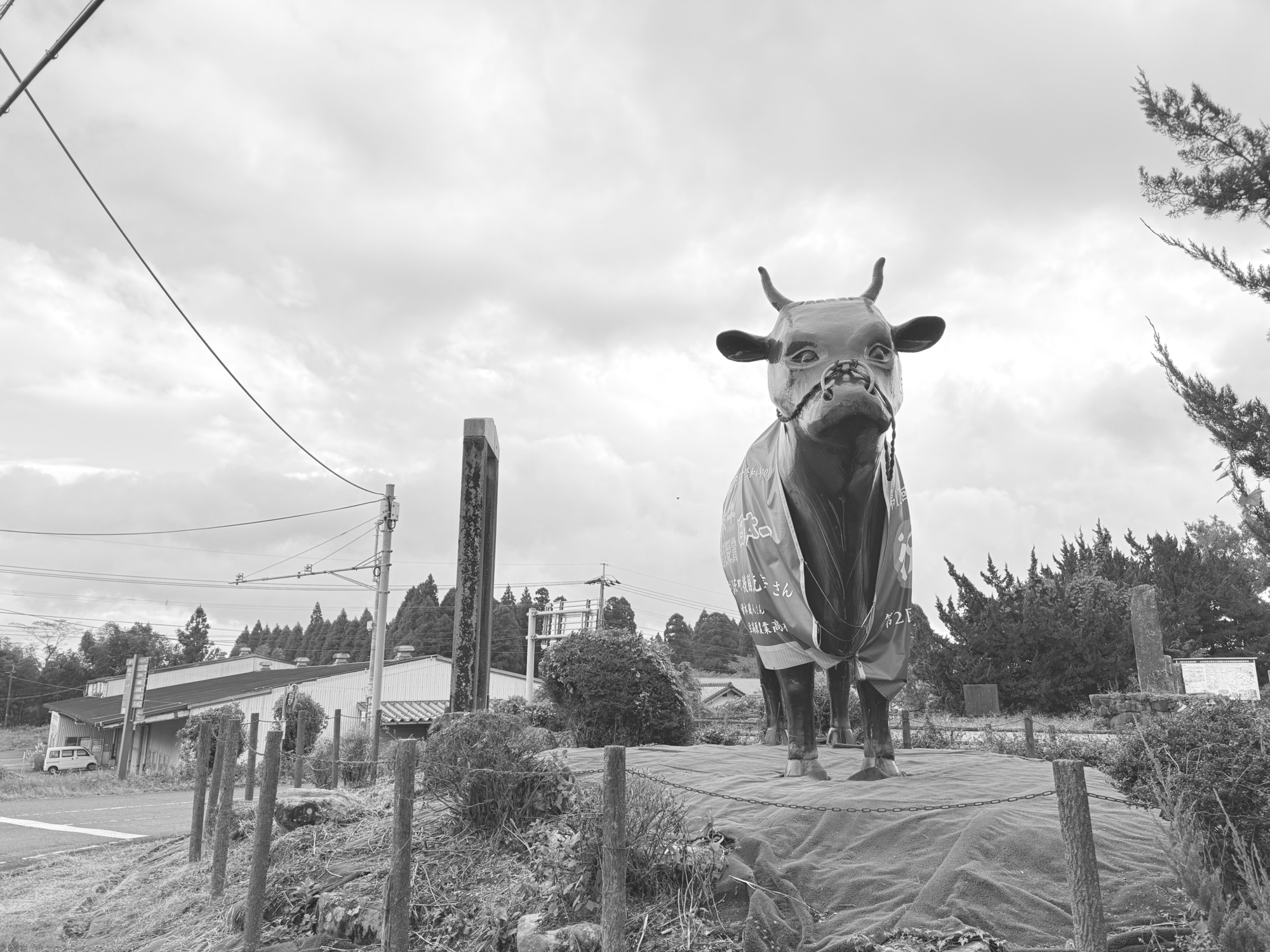 クセになるコース