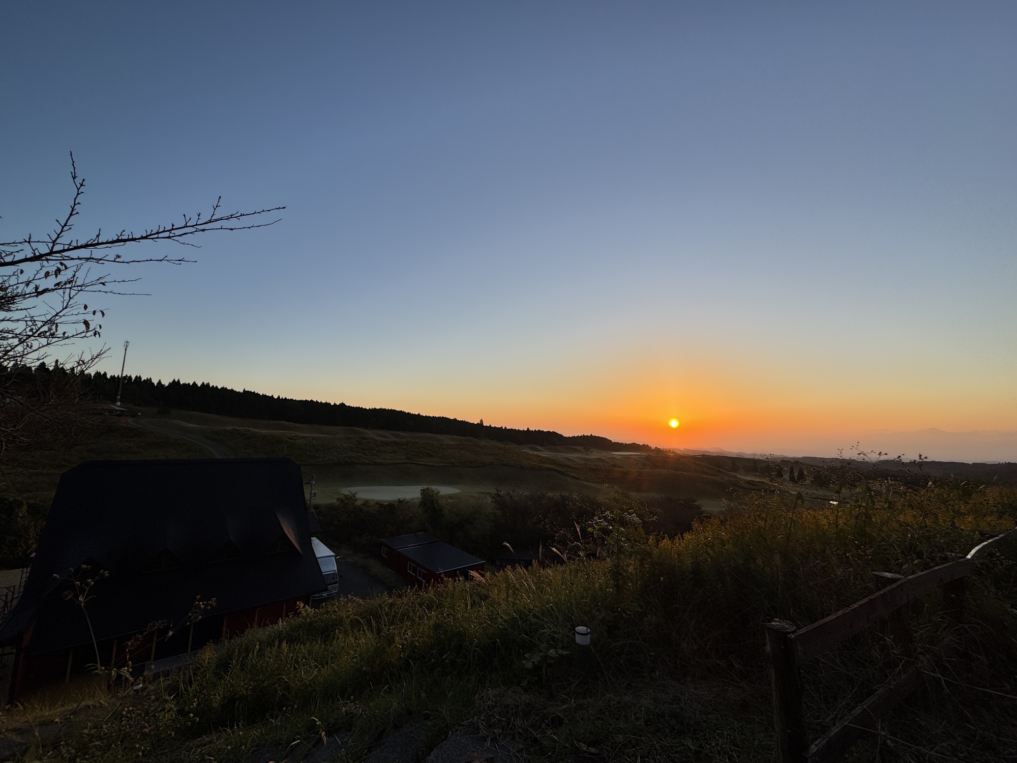 カムバック‼️