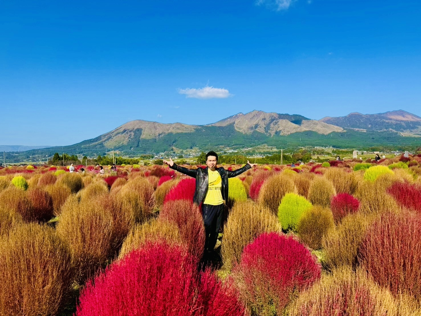 コキアワールド