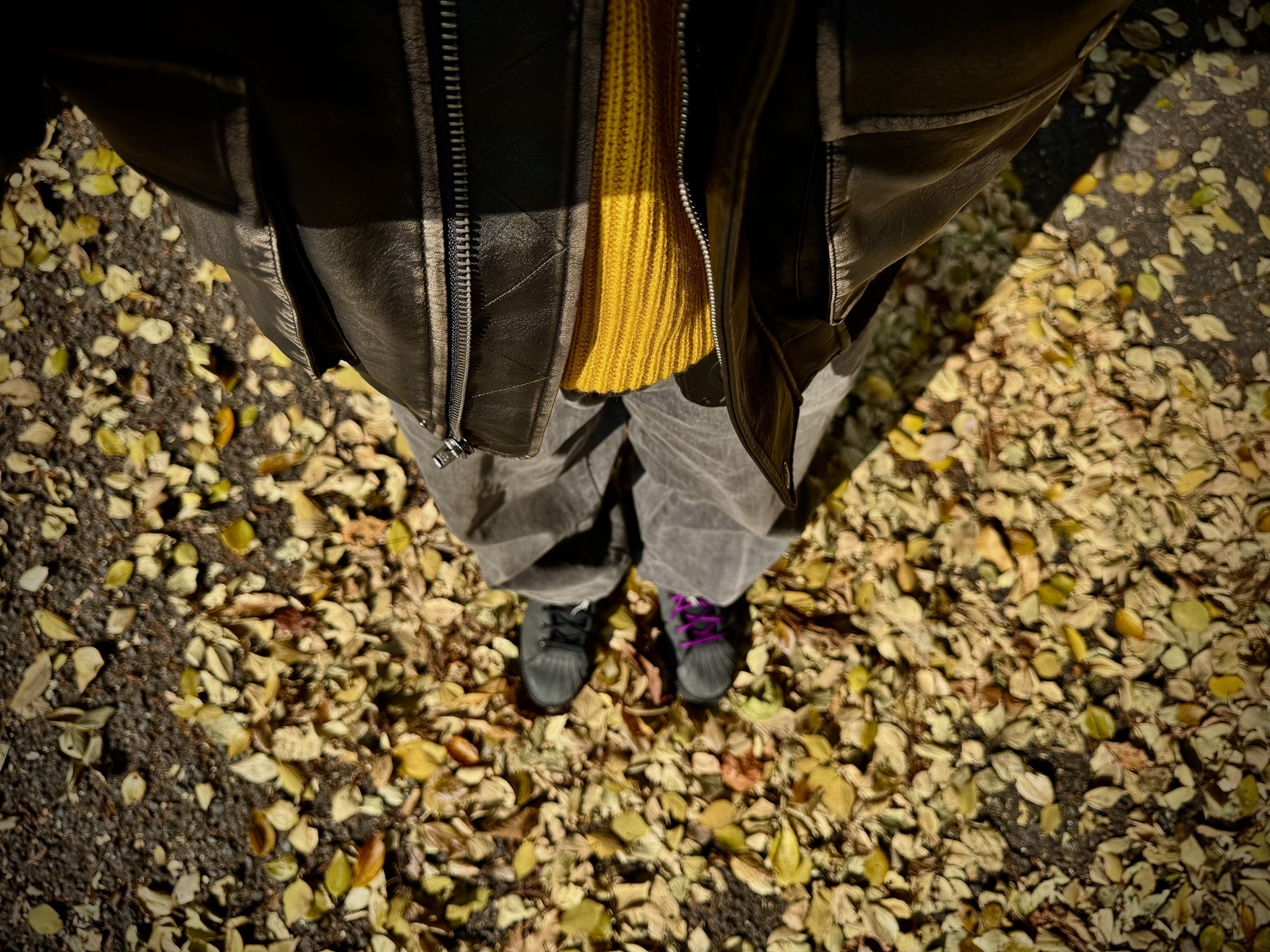 クスミズキコビト