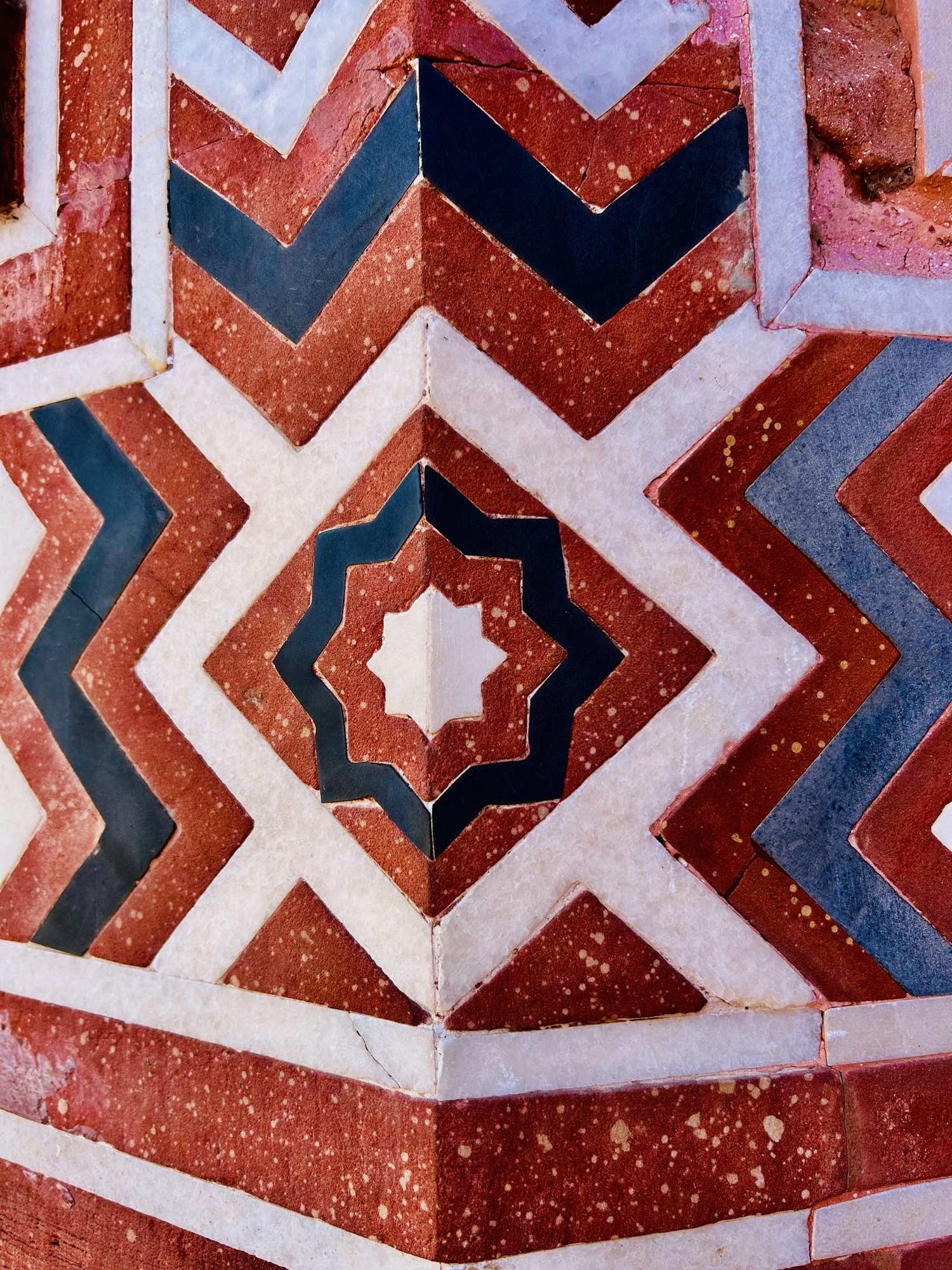 タージに大接近！！