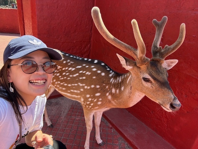 🇮🇳ラストパフォーマンス