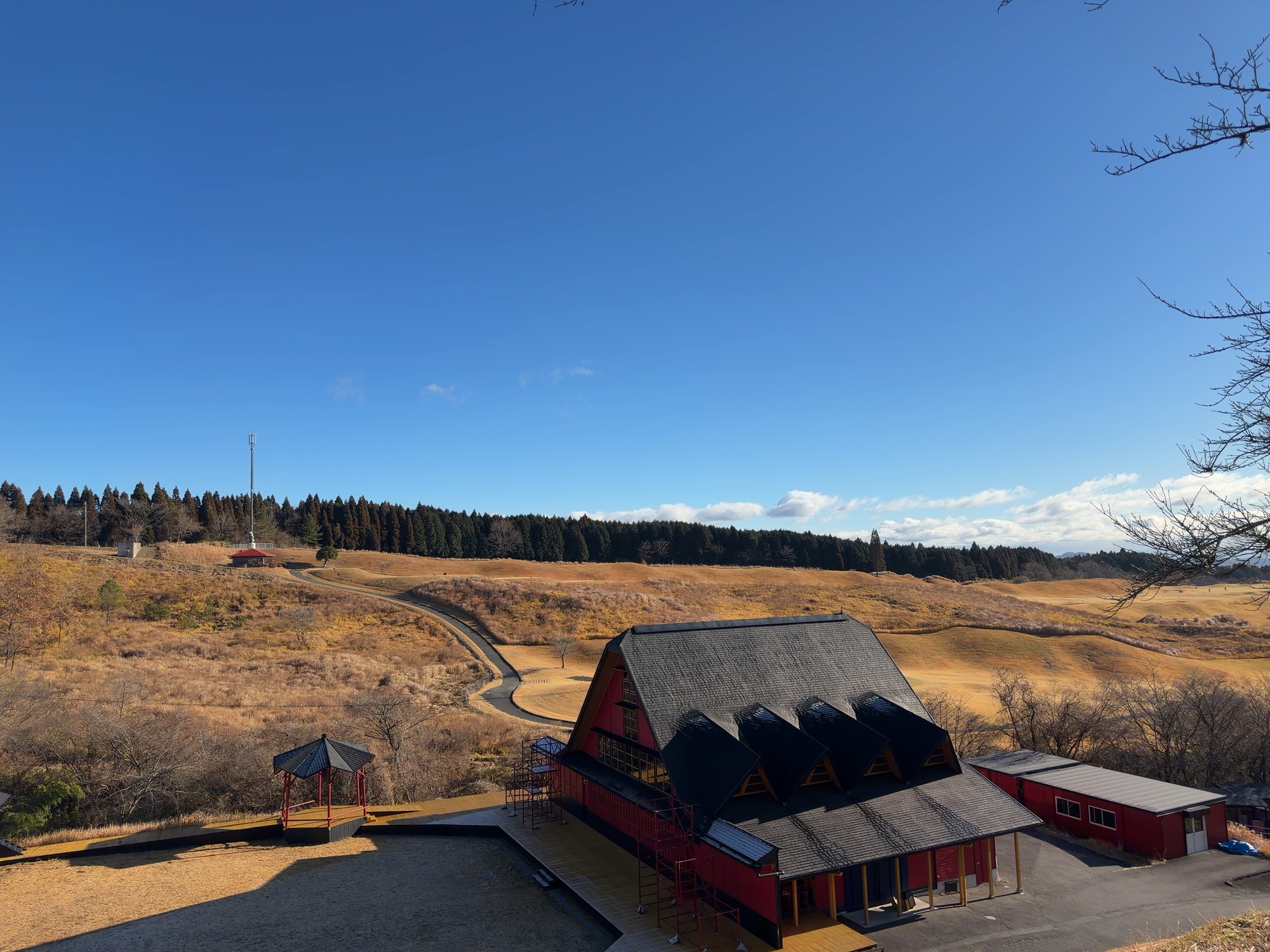 今日も今日とて….