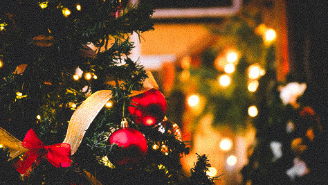 モミノキノスケ。