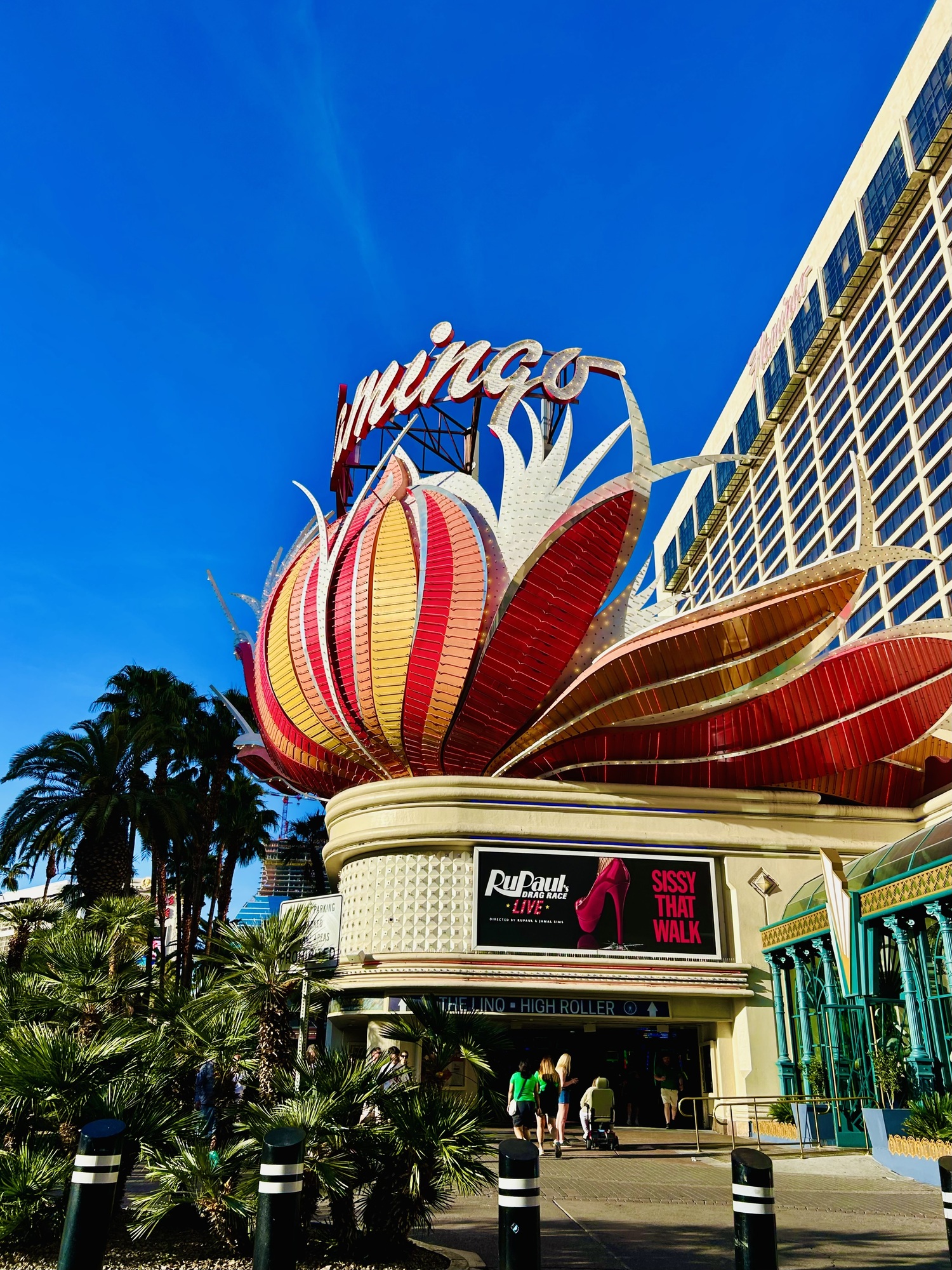 今年も、やります！！