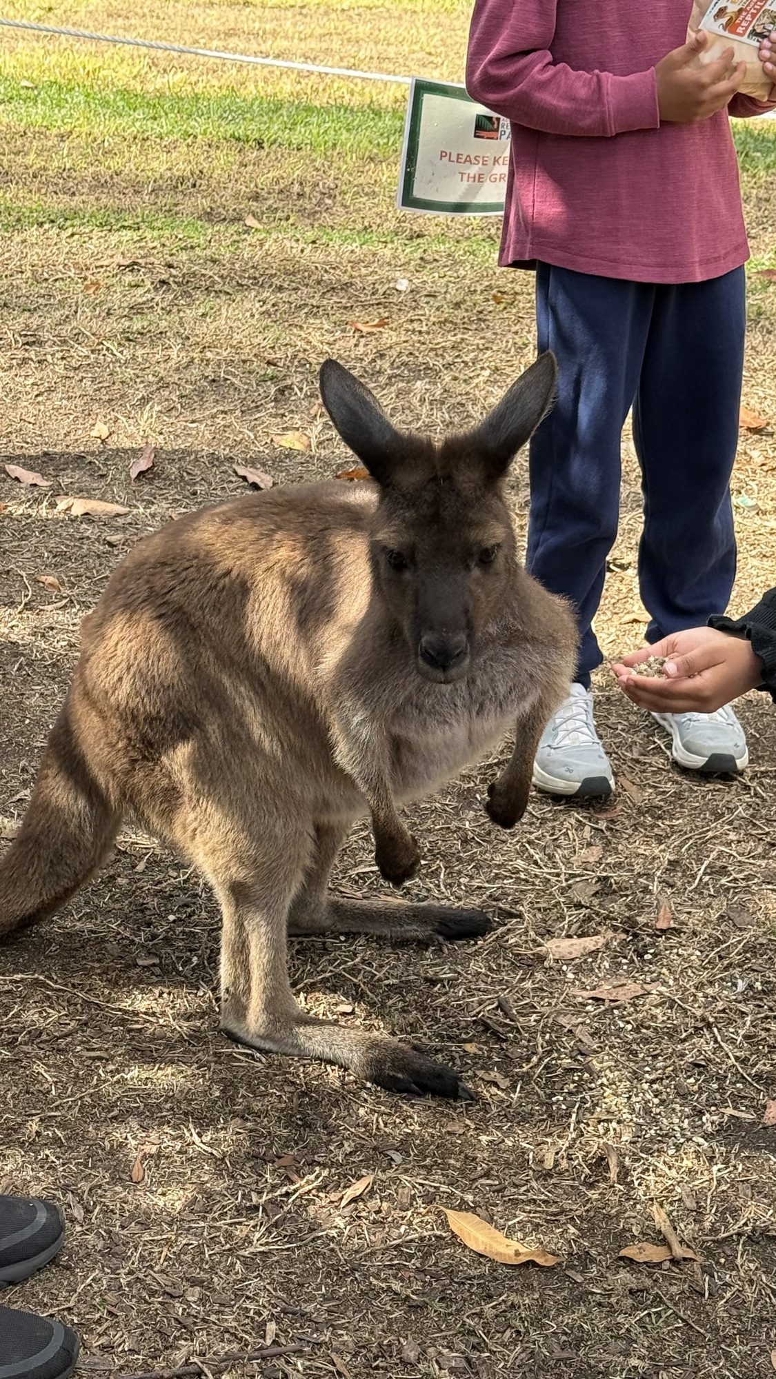 #やっとやつらに