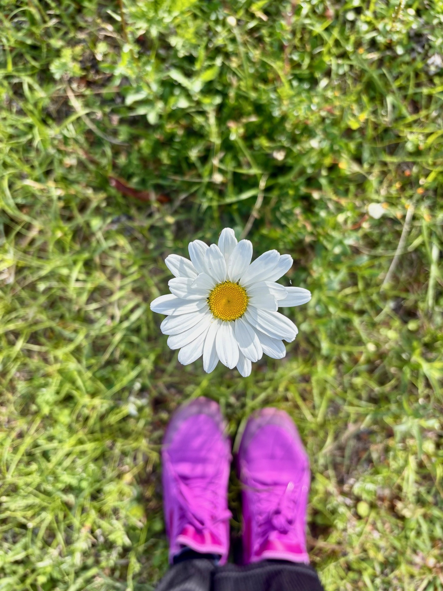 ☀️