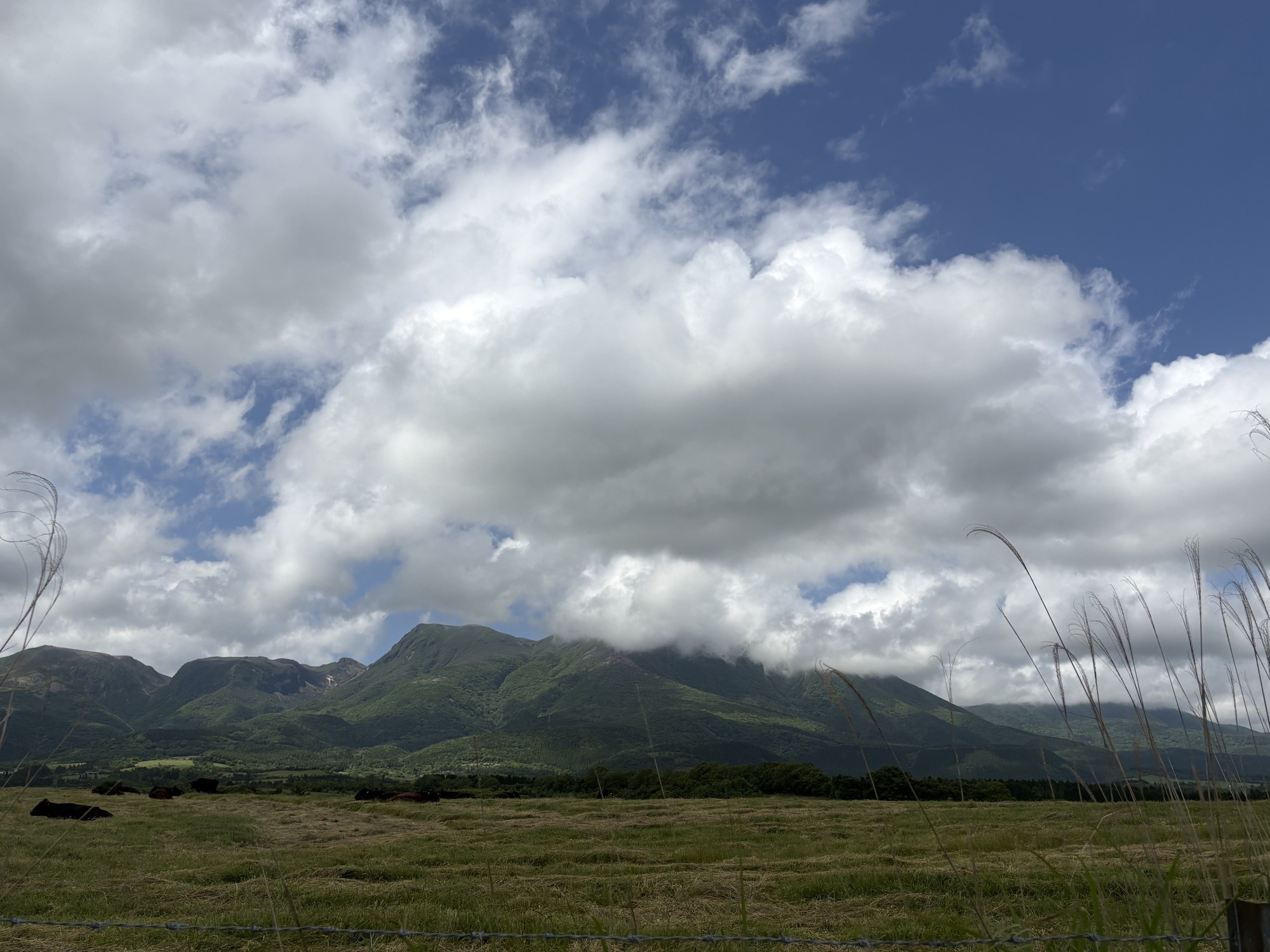 ⛰️