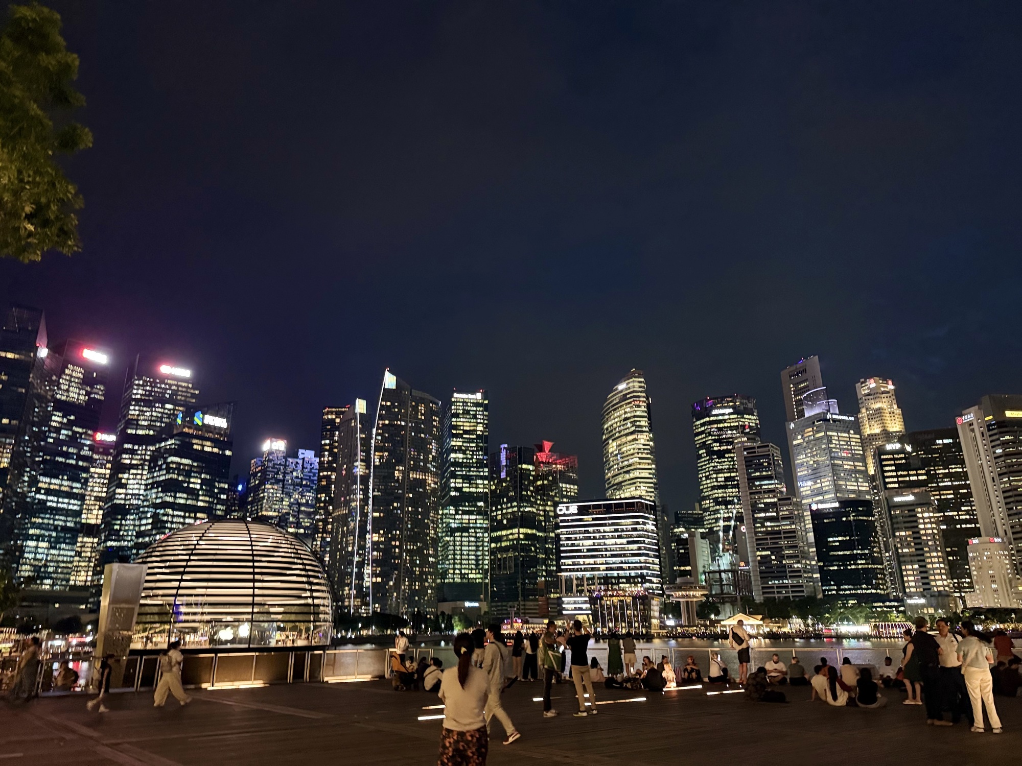 🇸🇬