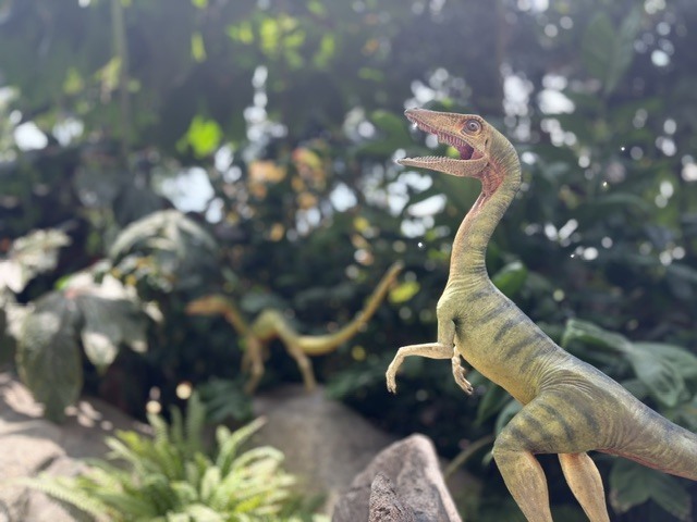 🦕