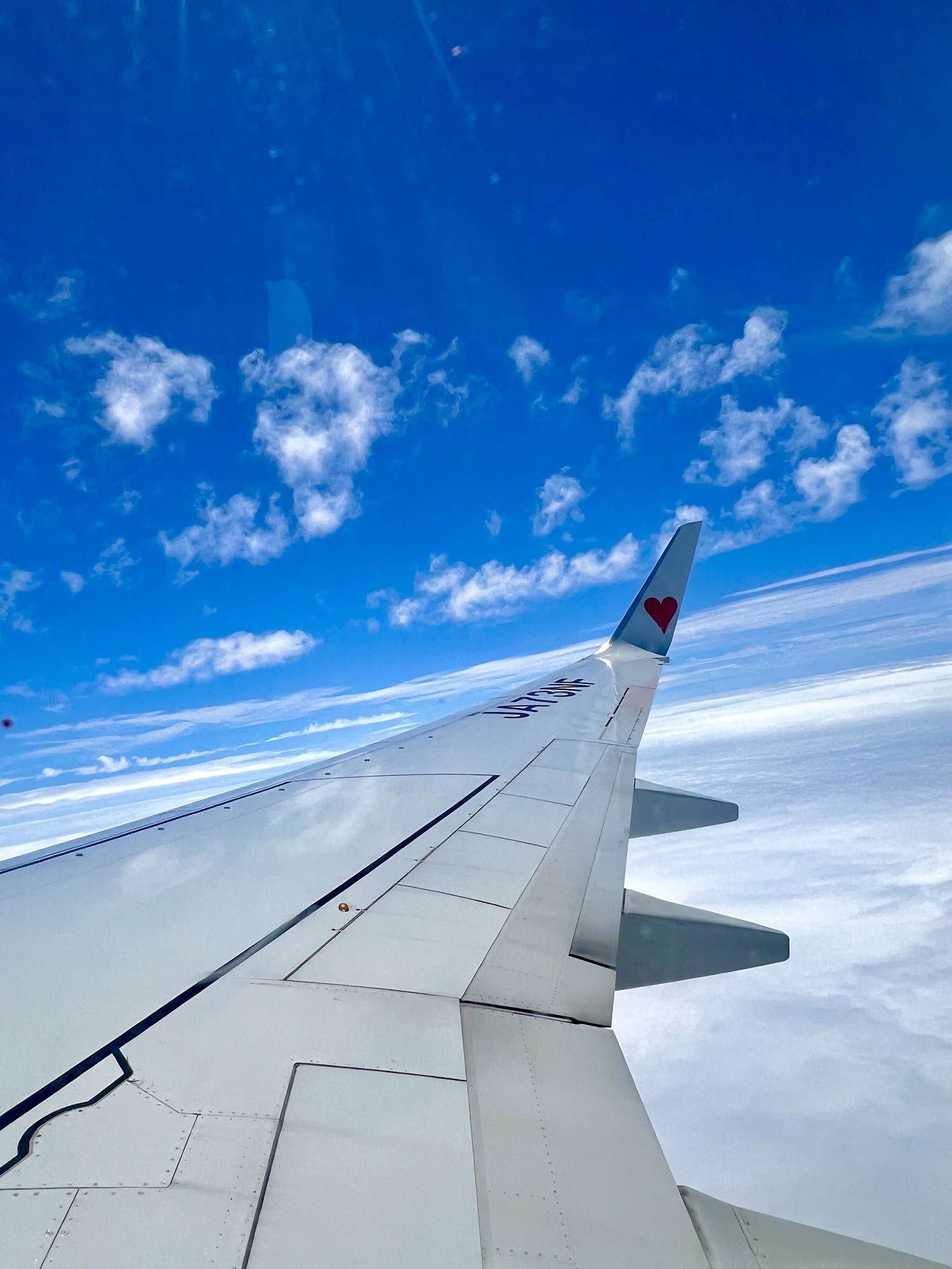 ✈️〜🌺