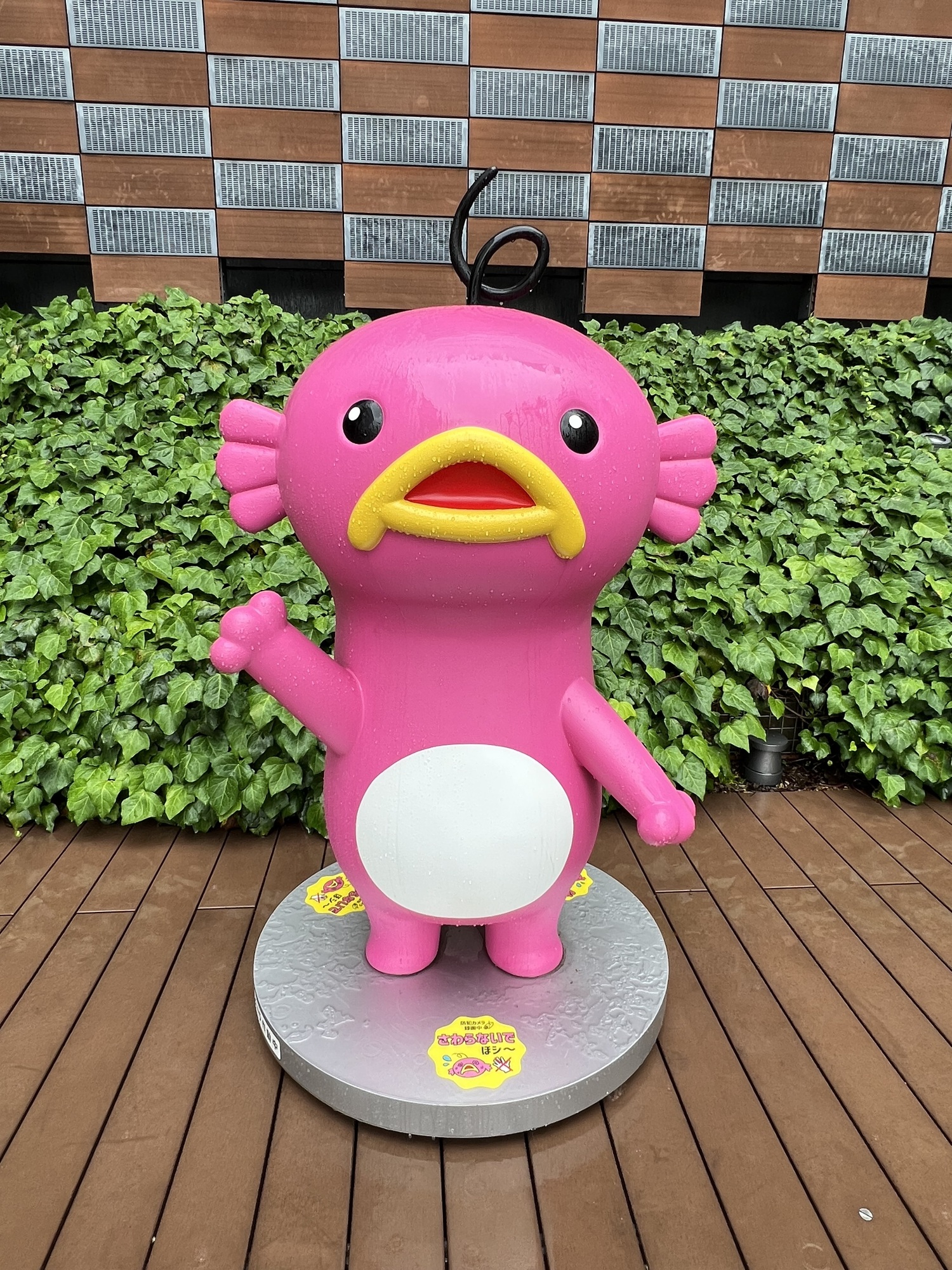 🐙②