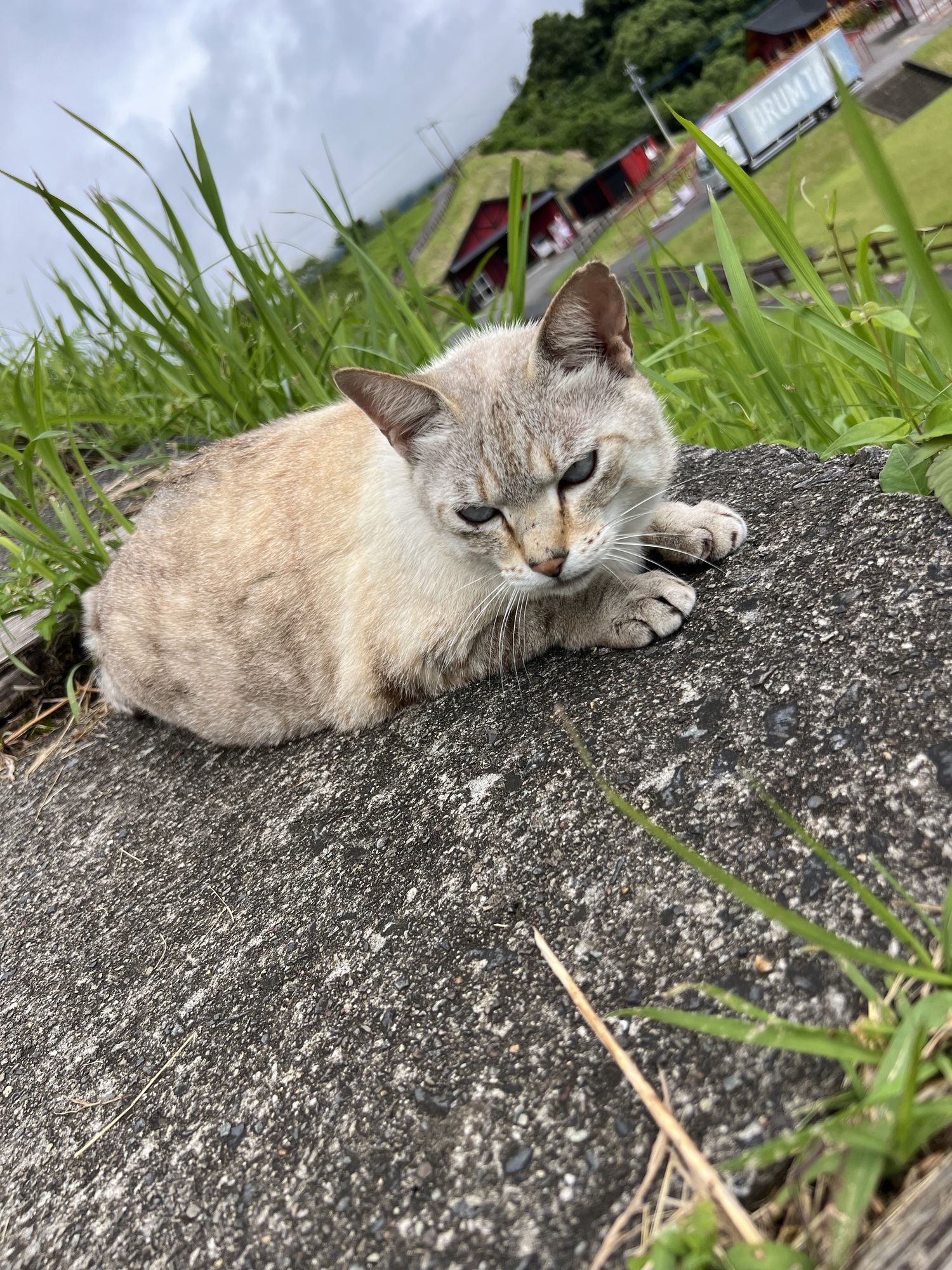 にぃーーー