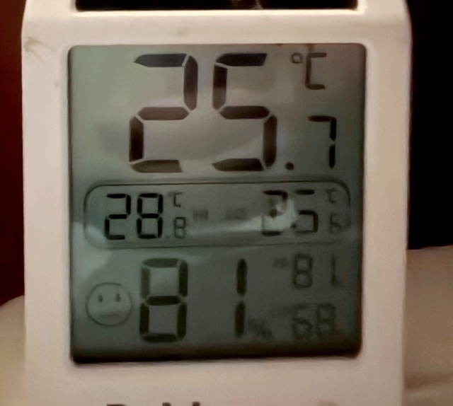 ただいま