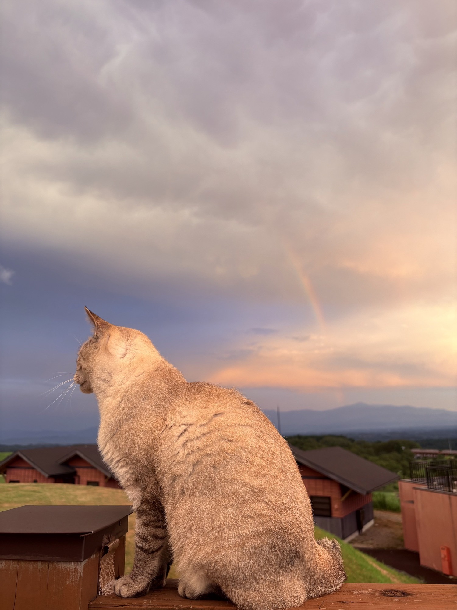 🌈