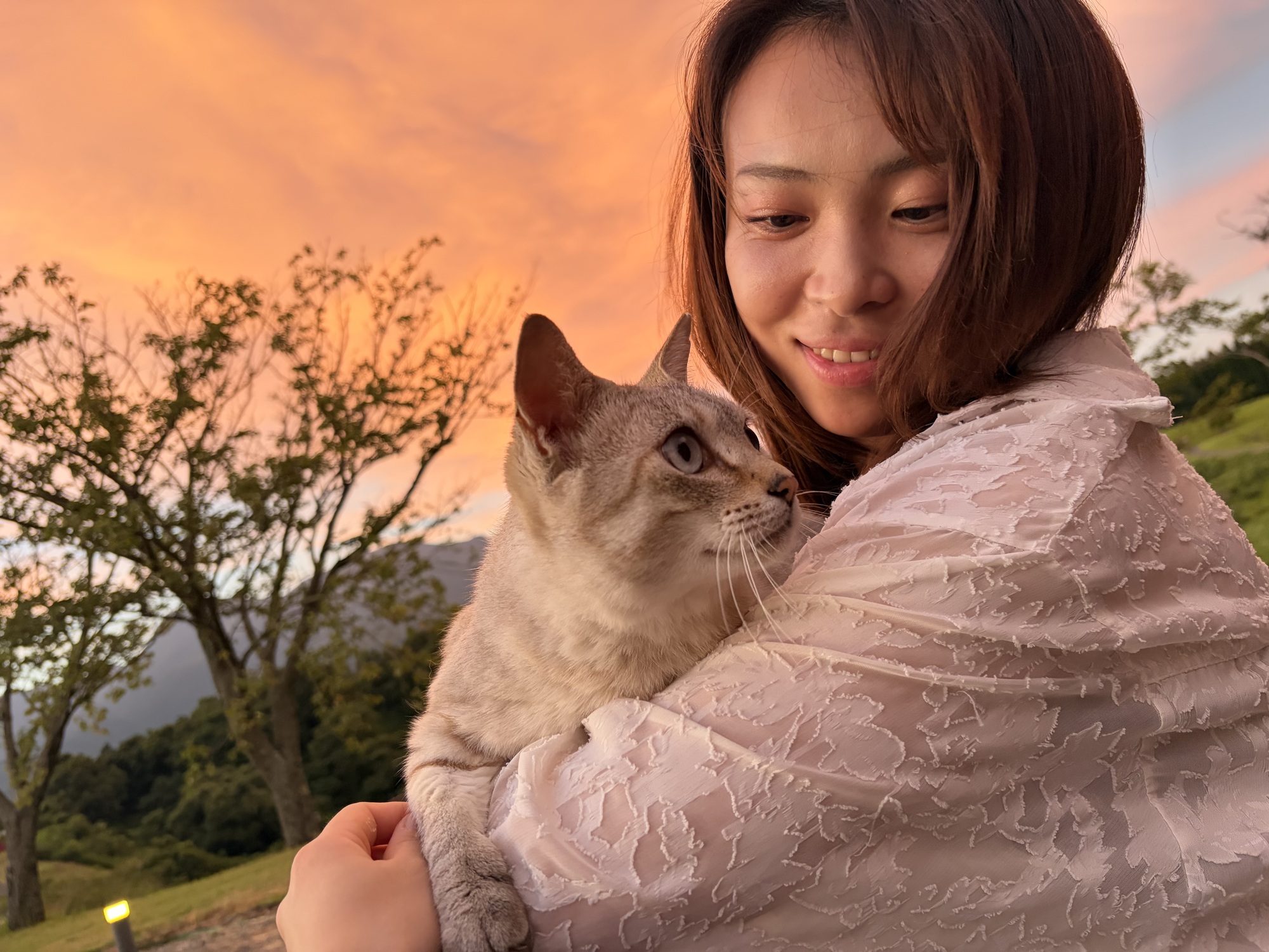 🐈