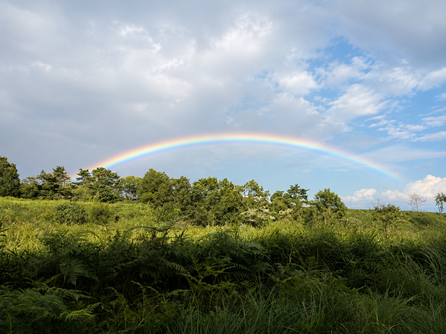 🌈