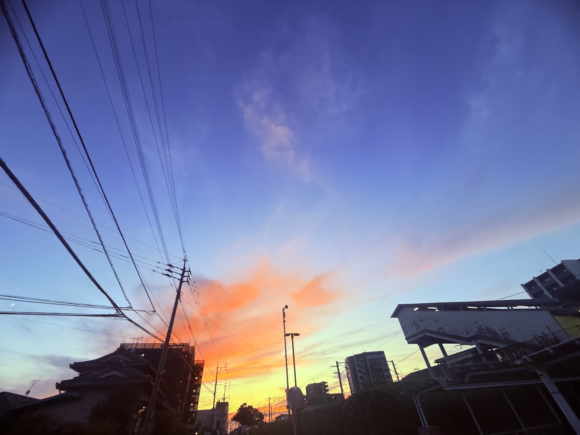 さ、帰りますか