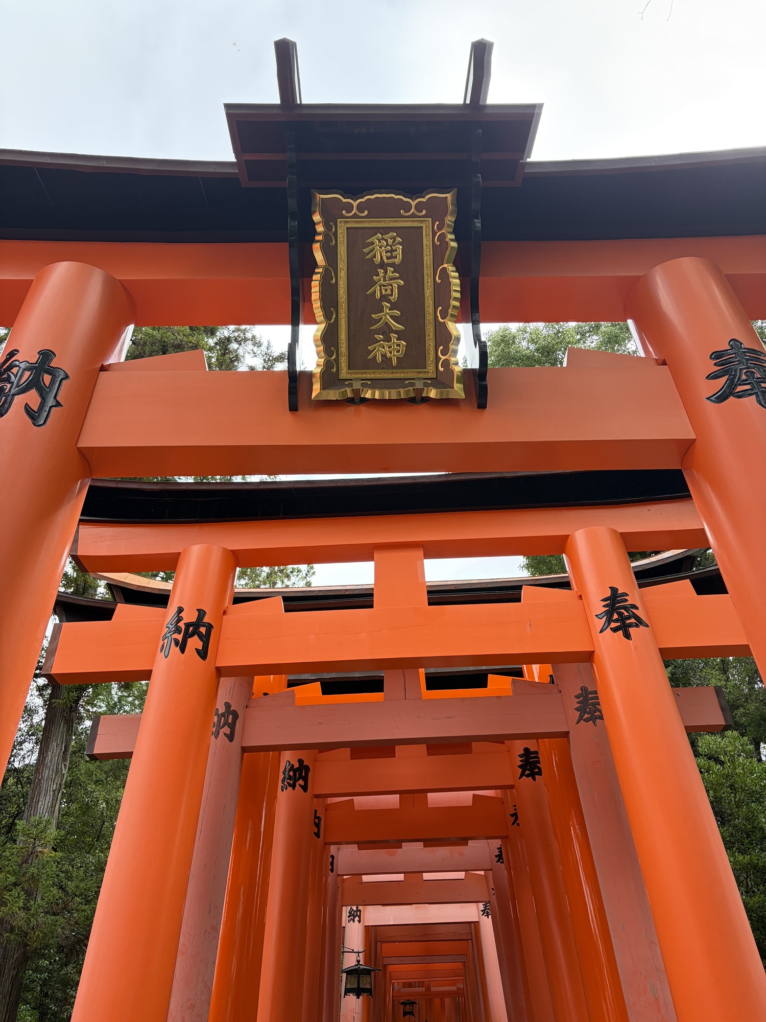 🏃💨⛩️