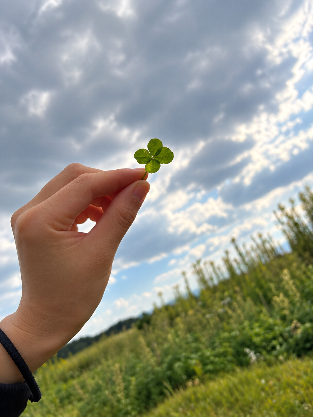 🍀