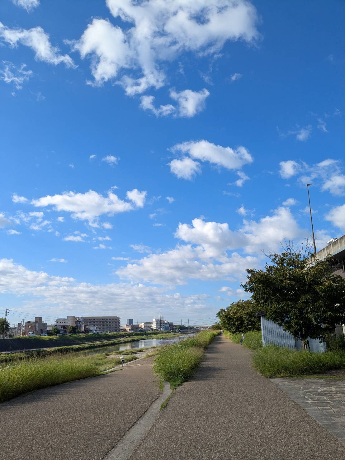 京都のsky