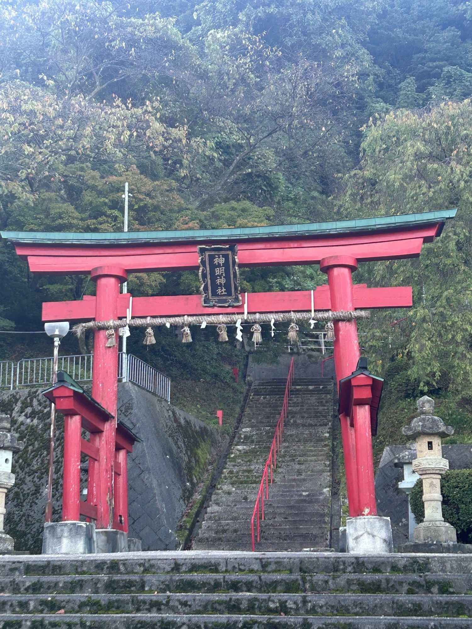 今日はここへ！
