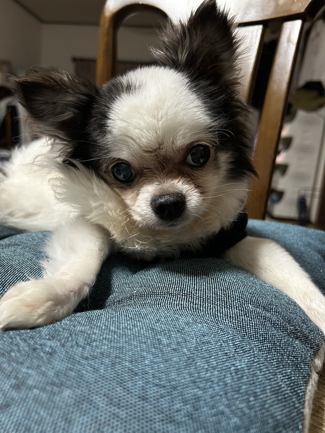 いぃーーー