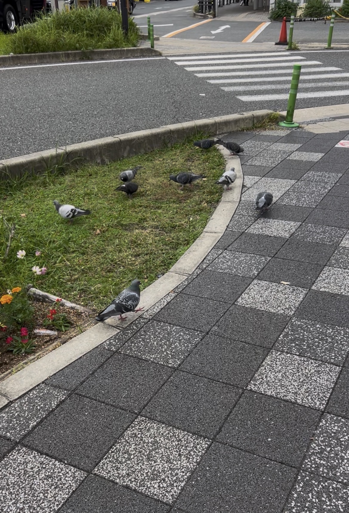 はぁーーー