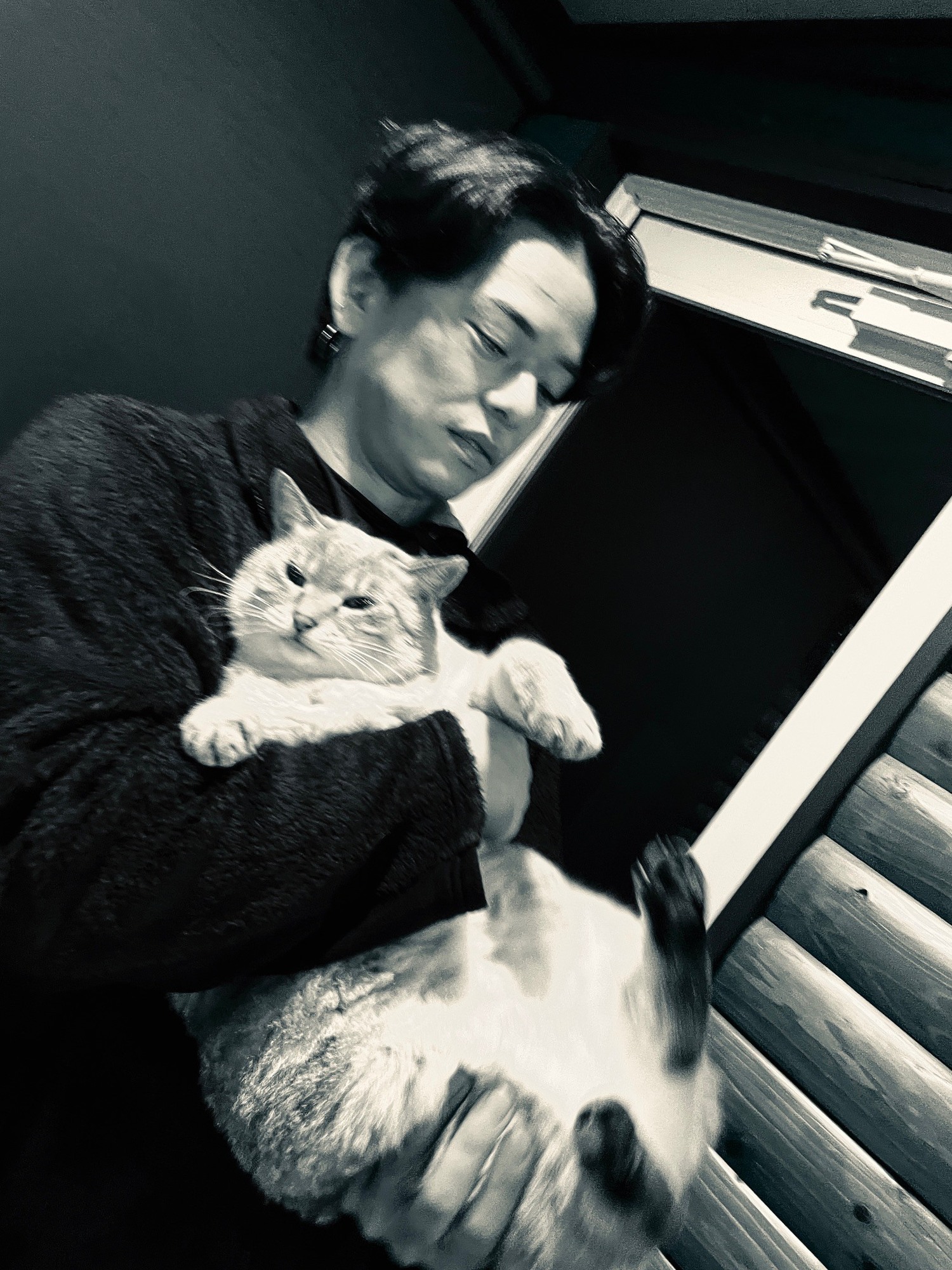 侵入ฅ^•ω•^ฅ