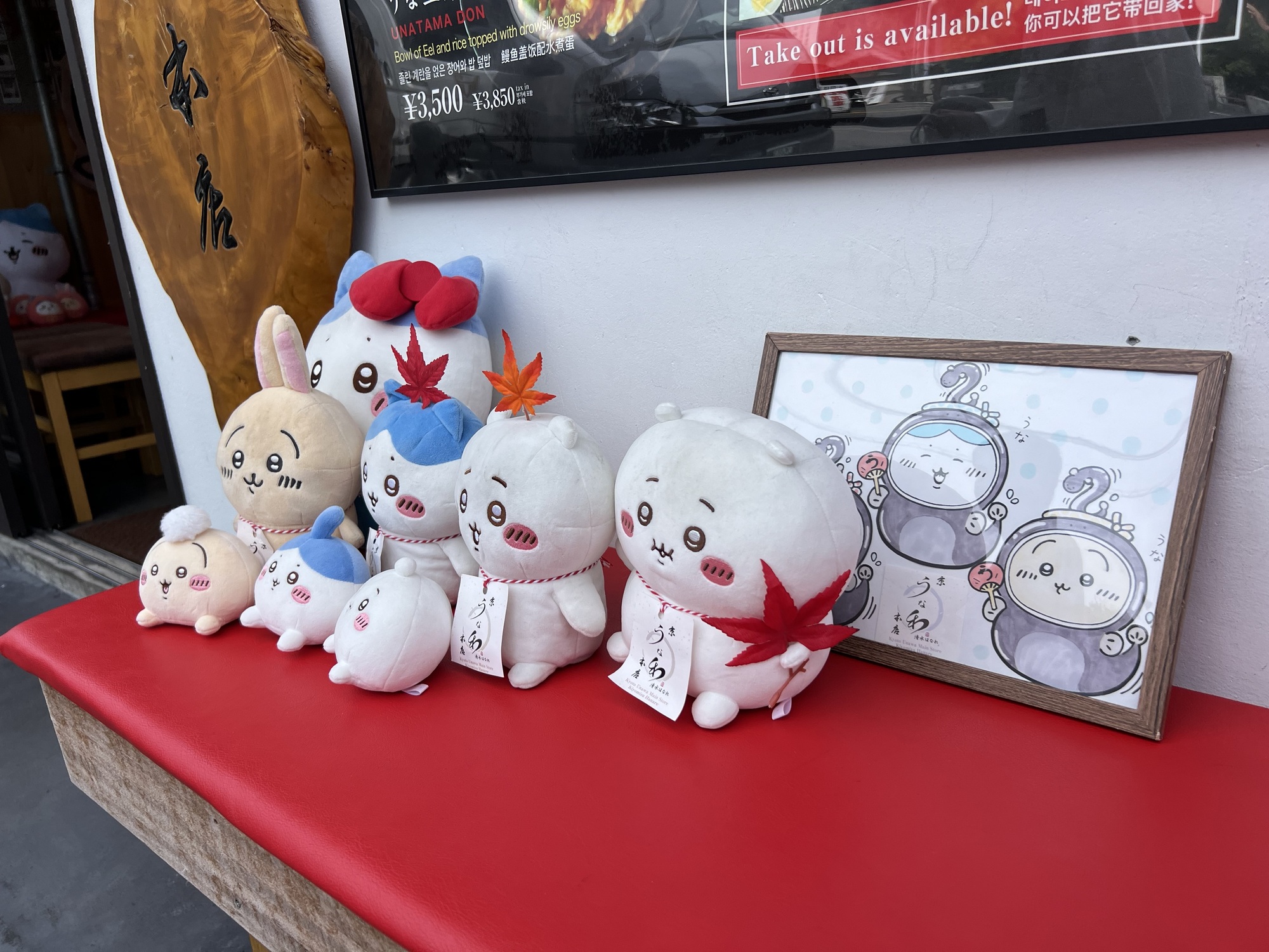 きょーーー